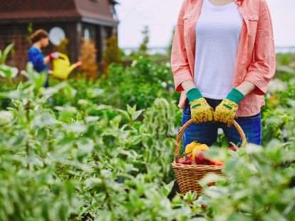 Listeners got to learn a few things about farming